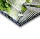 Lonely Leaf Acrylic print