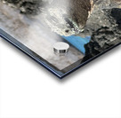 Guardian of the Beach Acrylic print