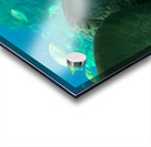 Sea Tortoise Acrylic print