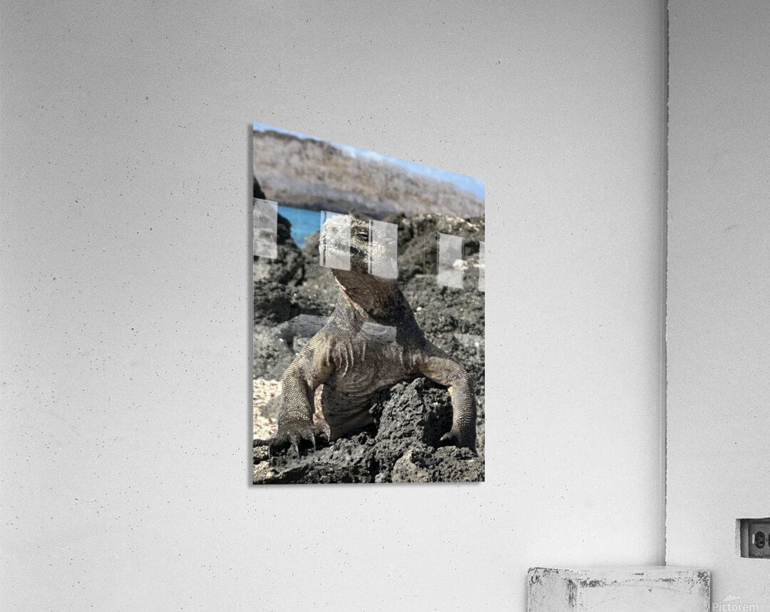 Guardian of the Beach Acrylic Print