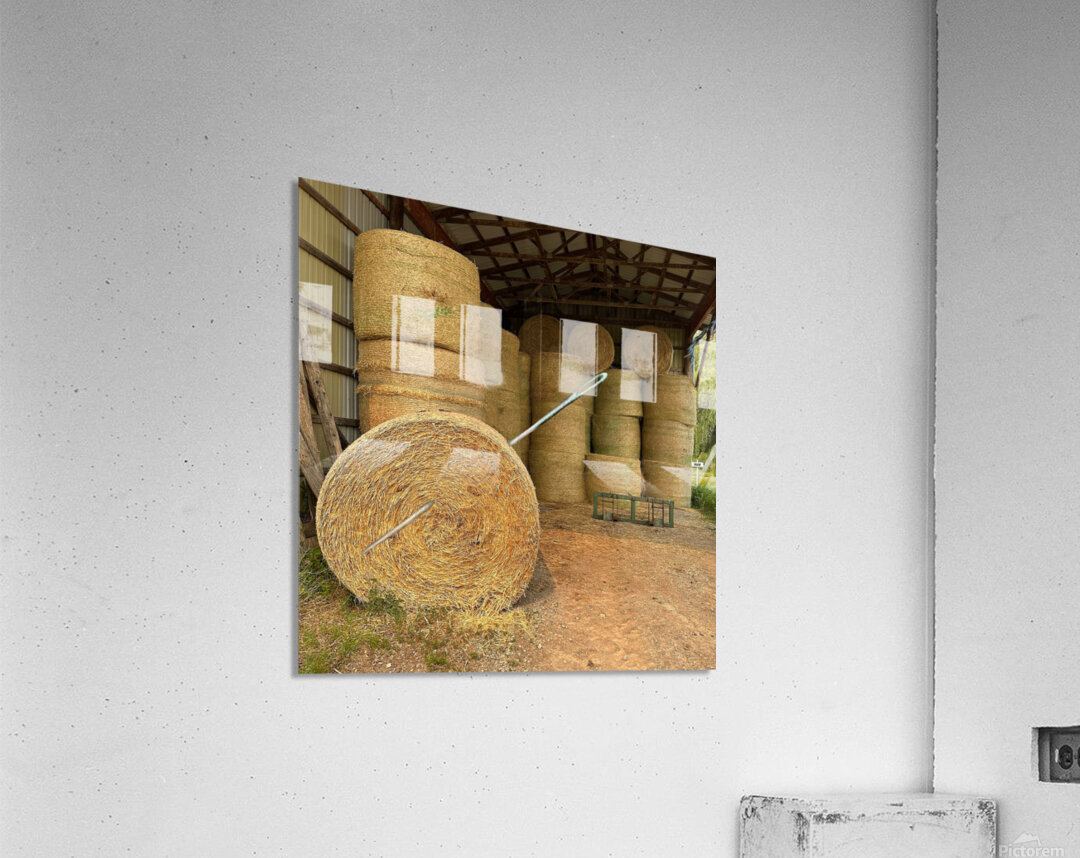 Needle in Haystack Acrylic Print