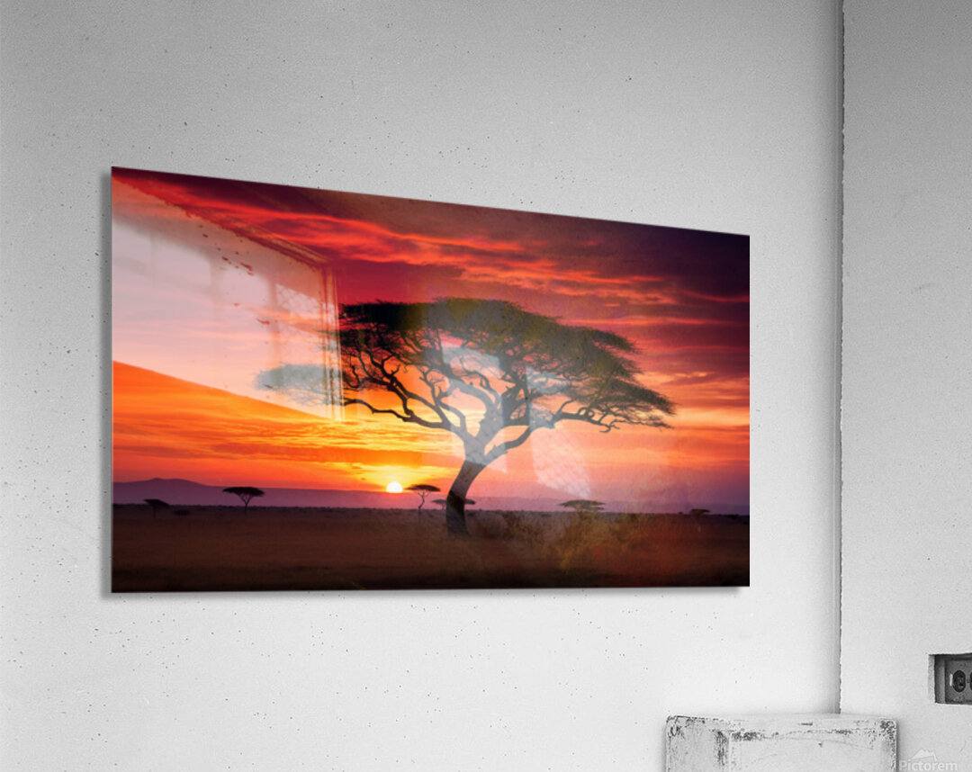 Acacia Tree on Serengeti AI Acrylic Print
