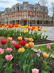 Prince of Wales Hotel