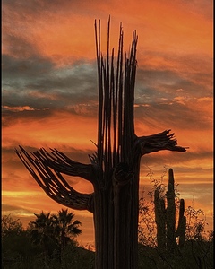 Orange Arizona Sky