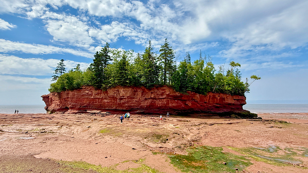Burntcoat Head Park Print