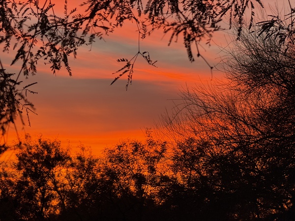 Red Sky at Night Print