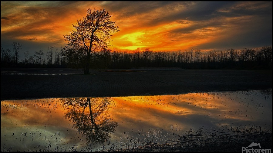 Sunset Reflection  Print