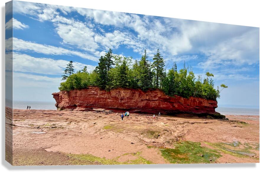 Burntcoat Head Park Canvas Print