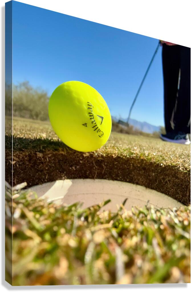 Sink the Putt Canvas Print