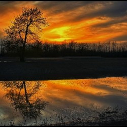 Sunset Reflection