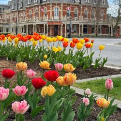 Prince of Wales Hotel