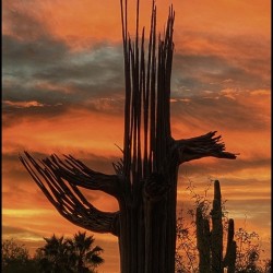 Orange Arizona Sky