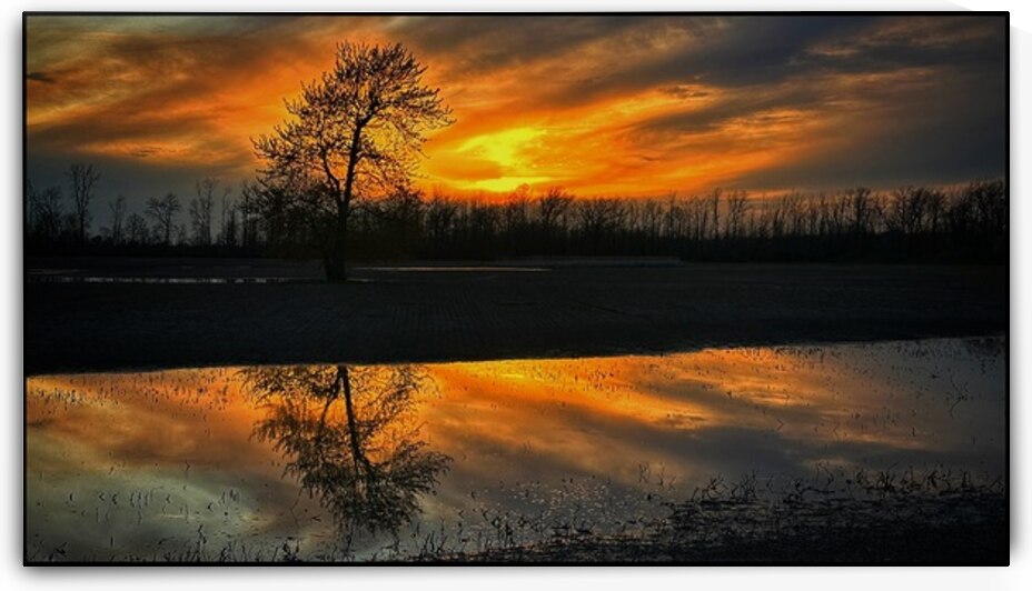 Sunset Reflection by Bob Hudson