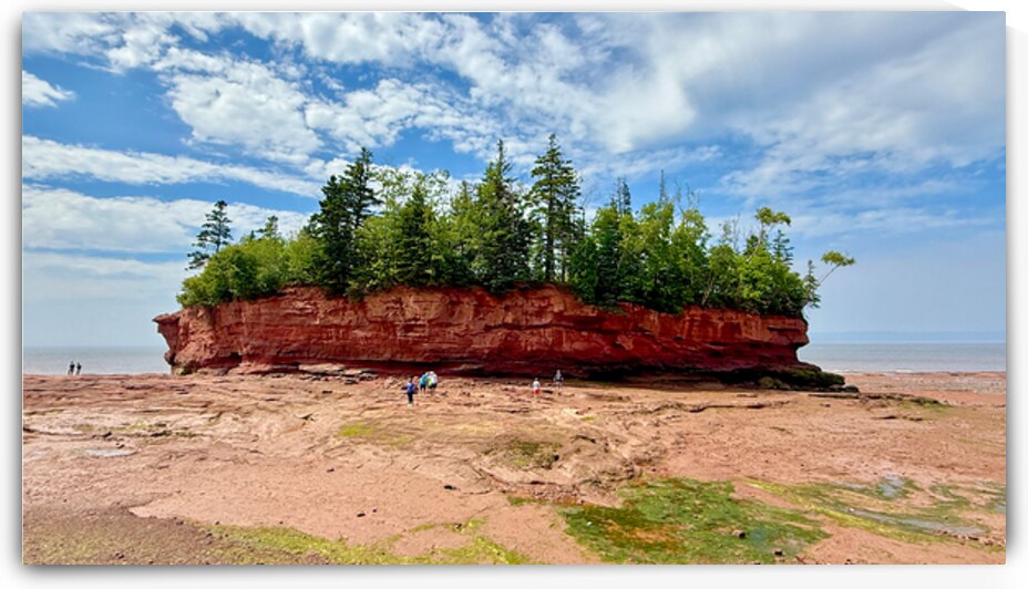 Burntcoat Head Park by Bob Hudson