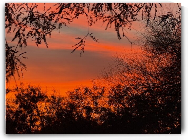 Red Sky at Night by Bob Hudson
