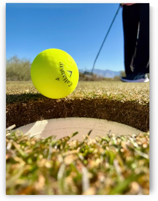 Sink the Putt by Bob Hudson