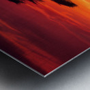 Acacia Tree on Serengeti AI Metal print