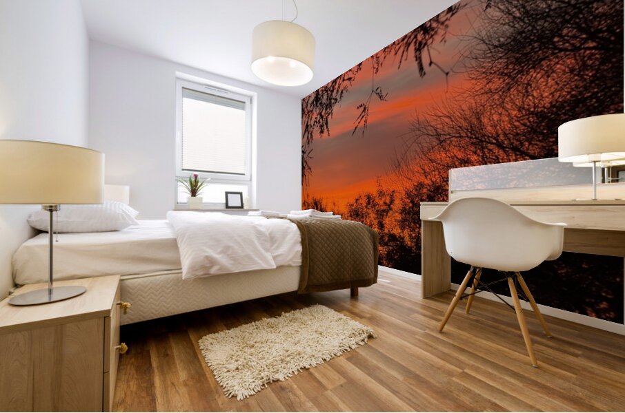 Red Sky at Night Mural print