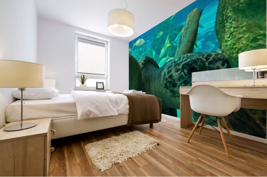 Sea Tortoise Mural print