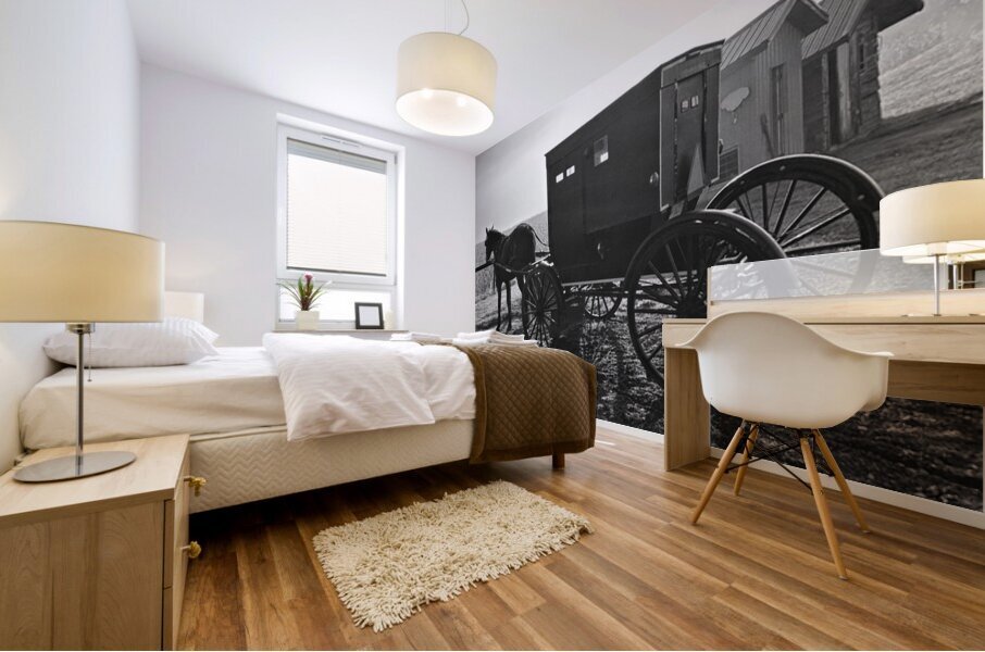 Sunrise in Amish Country Mural print