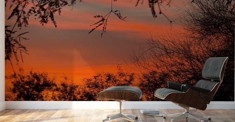 Red Sky at Night Wall Murals