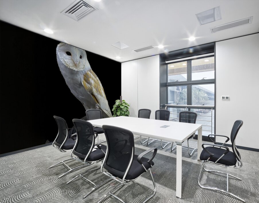 Barn Owl Wall Printing