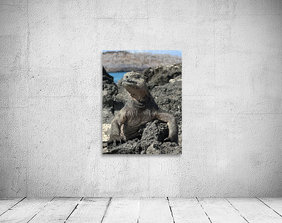 Guardian of the Beach Wall Preview