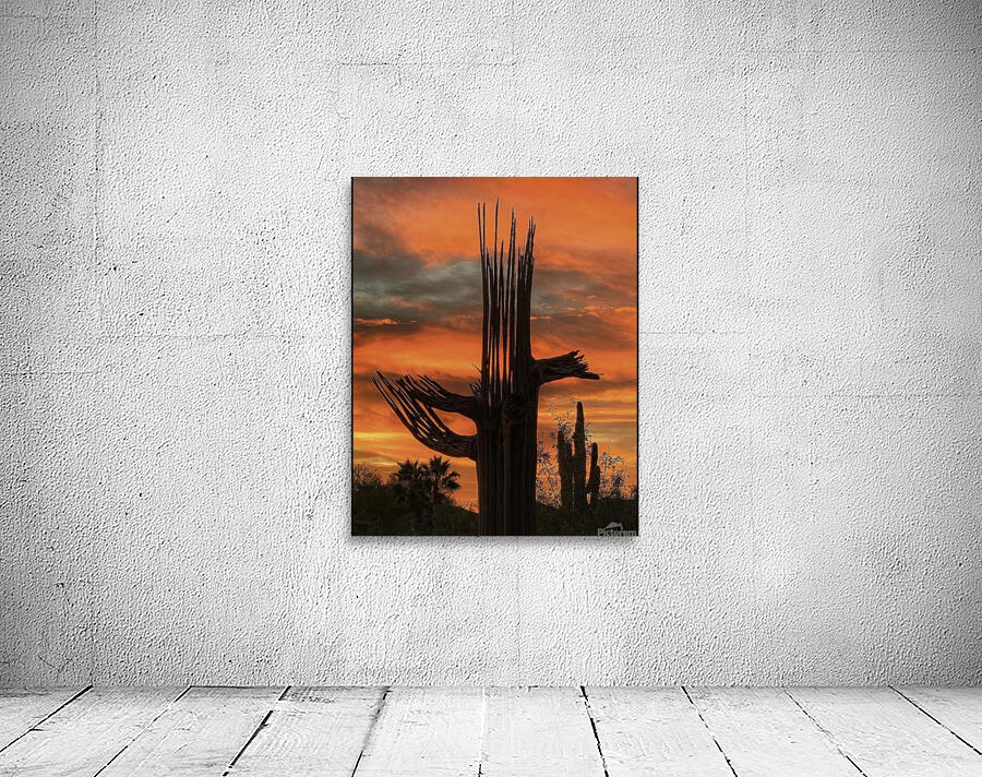 Orange Arizona Sky Wall Preview