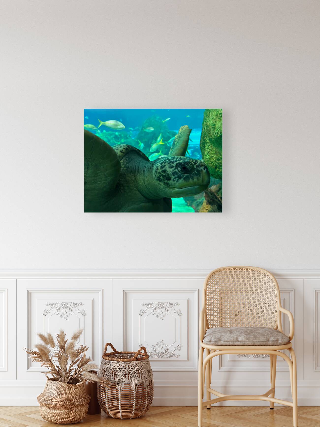 Sea Tortoise Reproduction