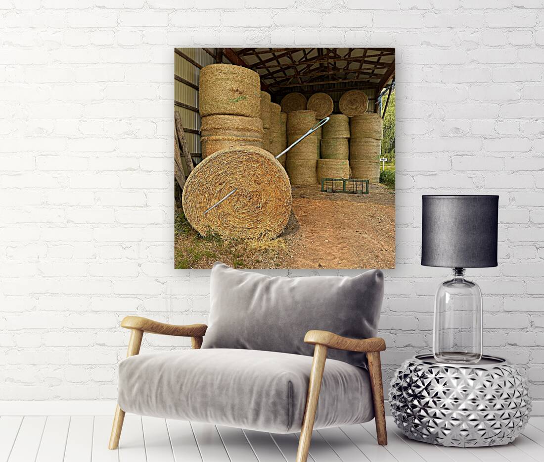 Needle in Haystack Reproduction