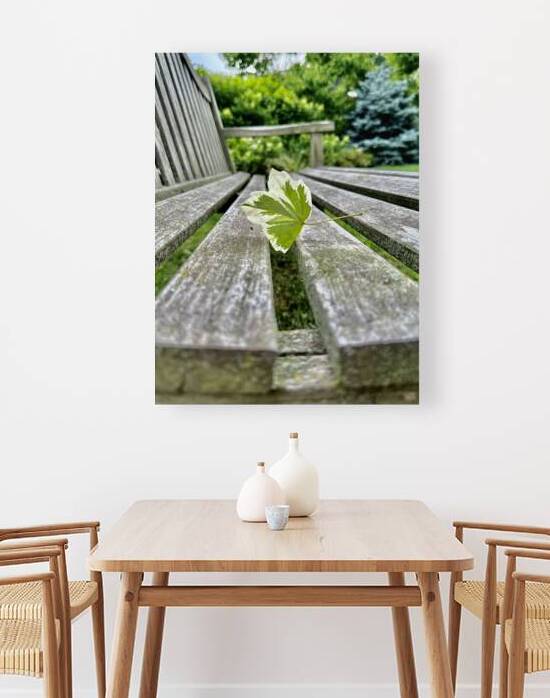 Lonely Leaf by Bob Hudson