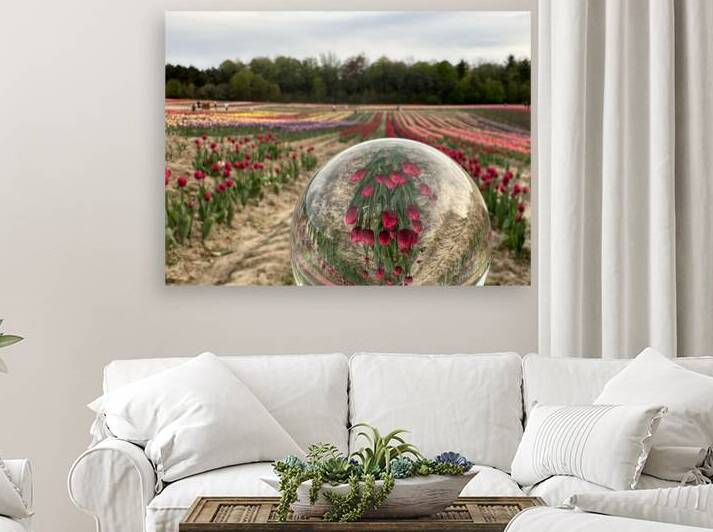 Tulip Farm by Bob Hudson