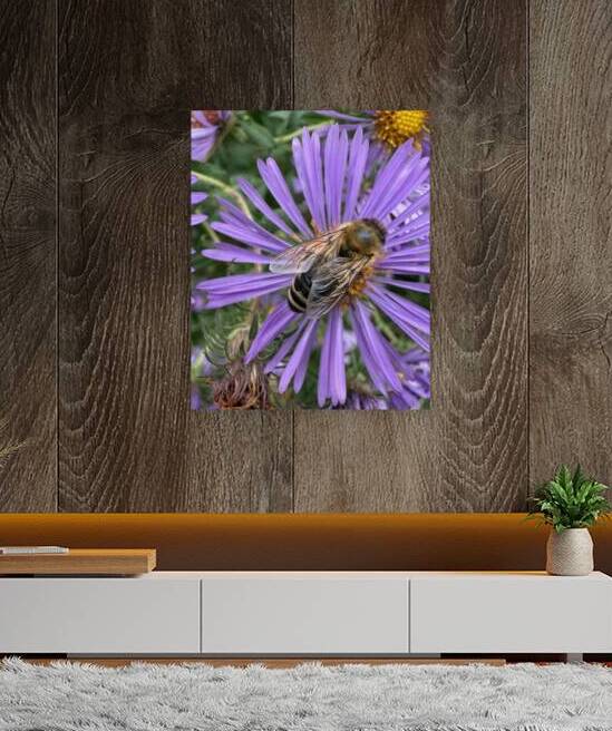 Busy Bee by Bob Hudson