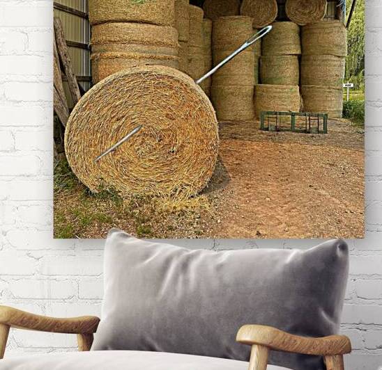 Needle in Haystack by Bob Hudson