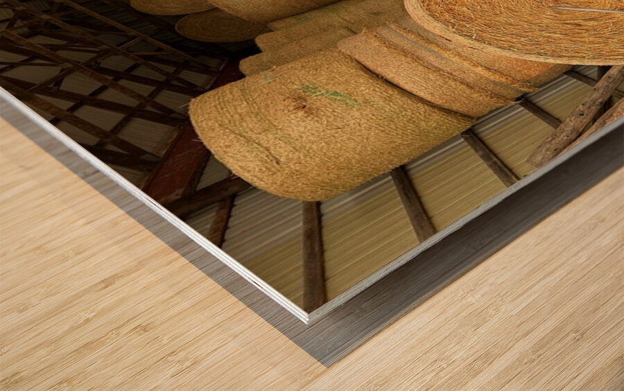 Needle in Haystack Wood print