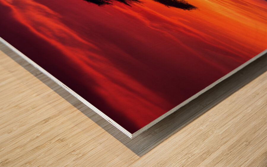 Acacia Tree on Serengeti AI Wood print